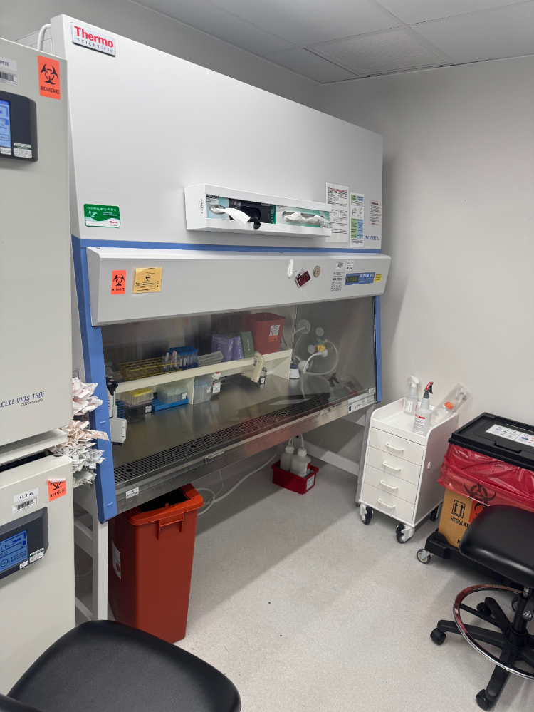 Image of Thermo 1300 Series A2 6' Biosafety Cabinet